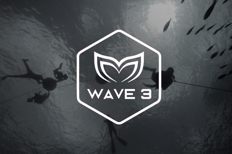 دوره فری‌دایوینگ حرفه‌ای (سطح۳)  | Molchanovs Wave 3