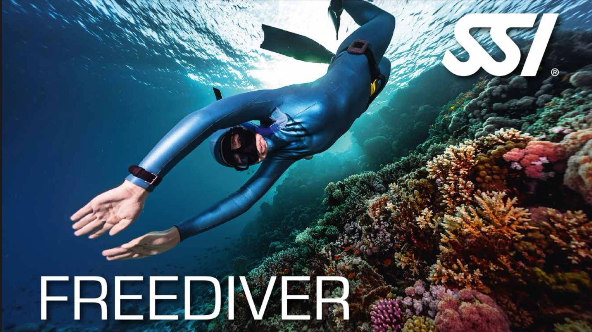 دوره فری‌دایو_سطح یک_SSI